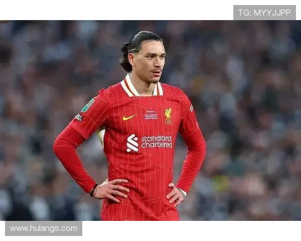 努涅斯本菲卡时期荣誉解析:成名基础是否已奠定